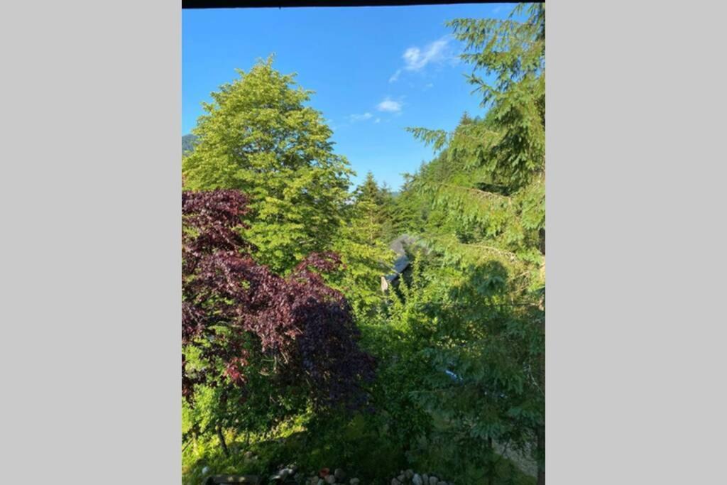 Ferienhaus Blommers 팔파우 외부 사진